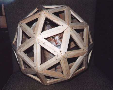Geodesic cat ball